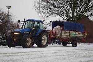 trekkers in de sneeuw (4)